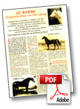 Article cheval barbe*