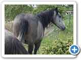 a vendre